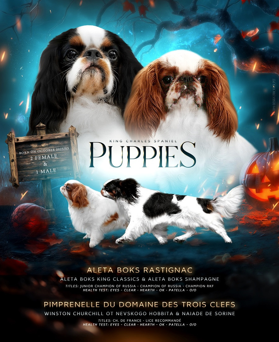 Nous l'attendions...et le mariage est arrivé